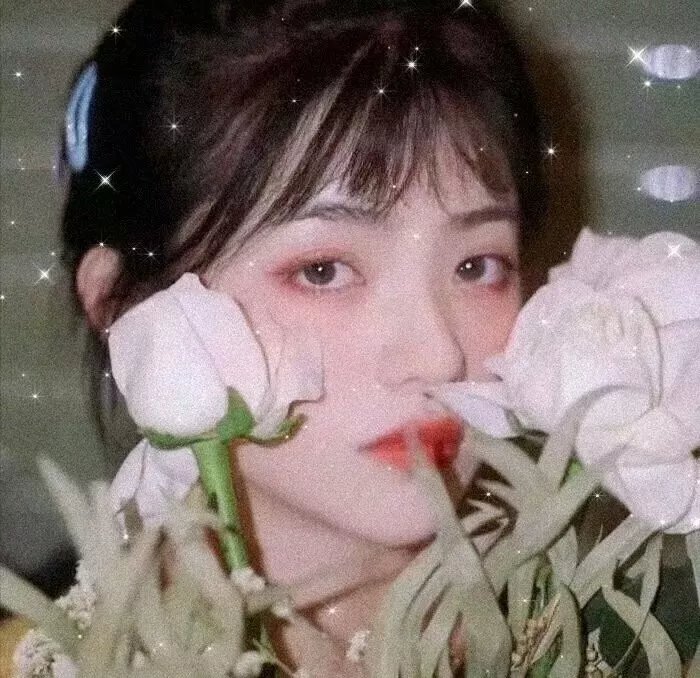 黑帮少爷爱上我