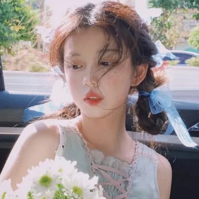 狐獴家族